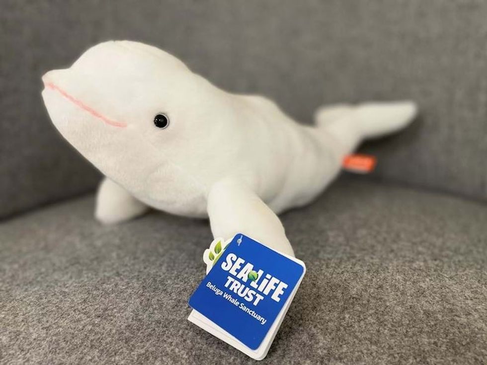 sea life trust beluga plush