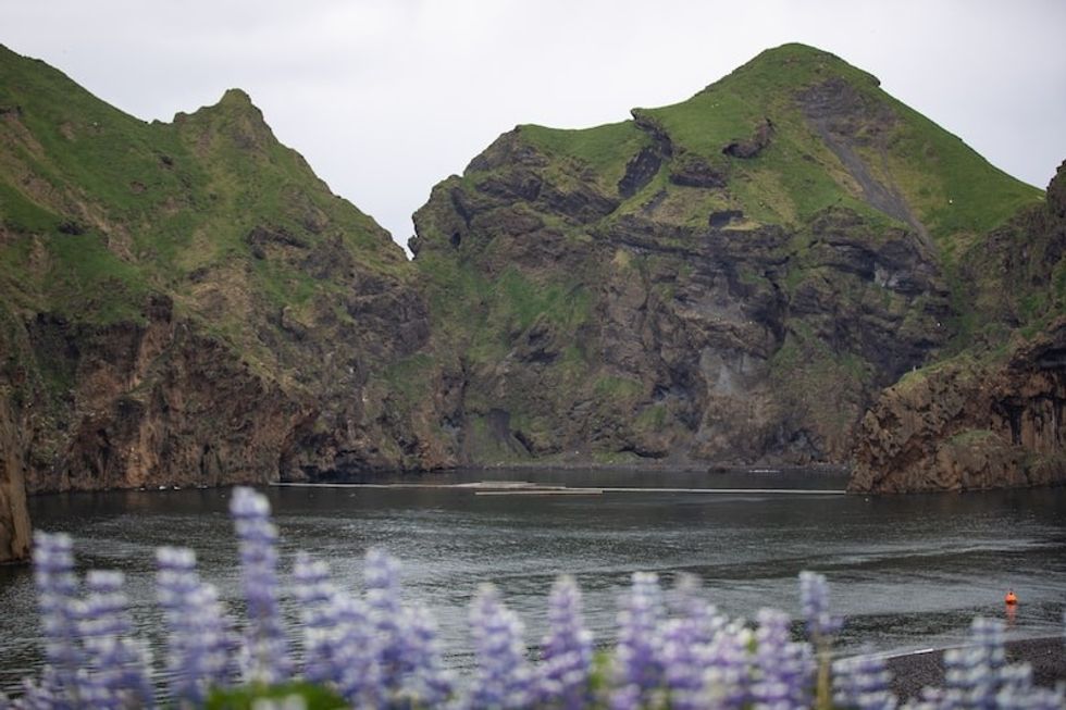 sea life trust beluga whale sanctuary