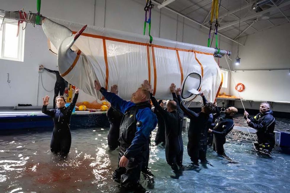 sea life trust beluga whale sanctuary