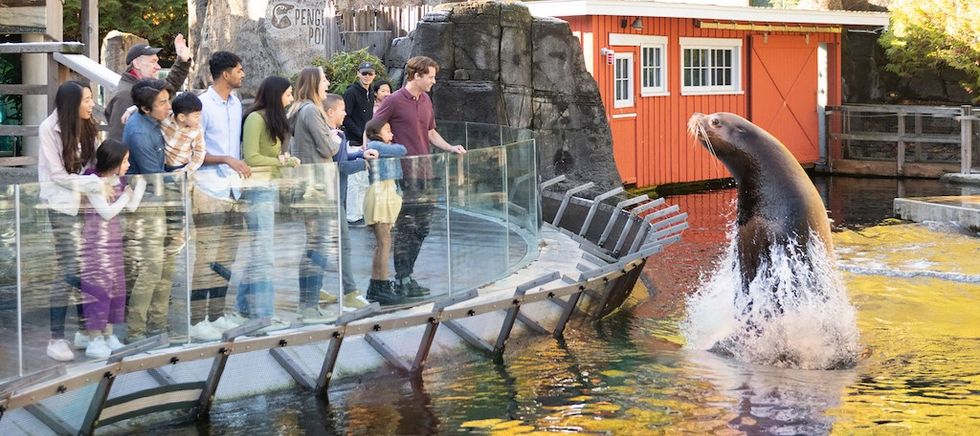 Sea lion and visitors at Vancouver Aquarium