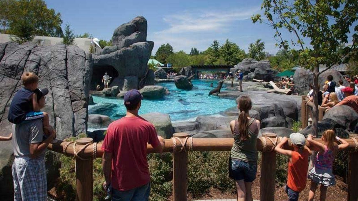Sea Lion Sound PGAV immersion exhibit