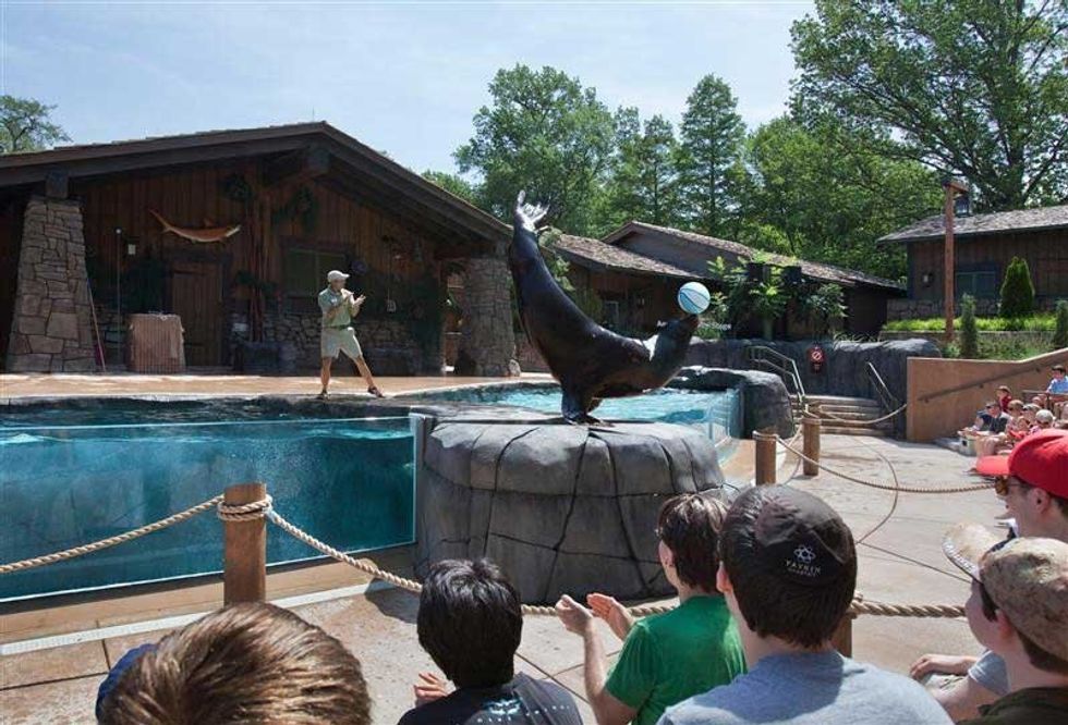 Sea Lion Sound Show PGAV