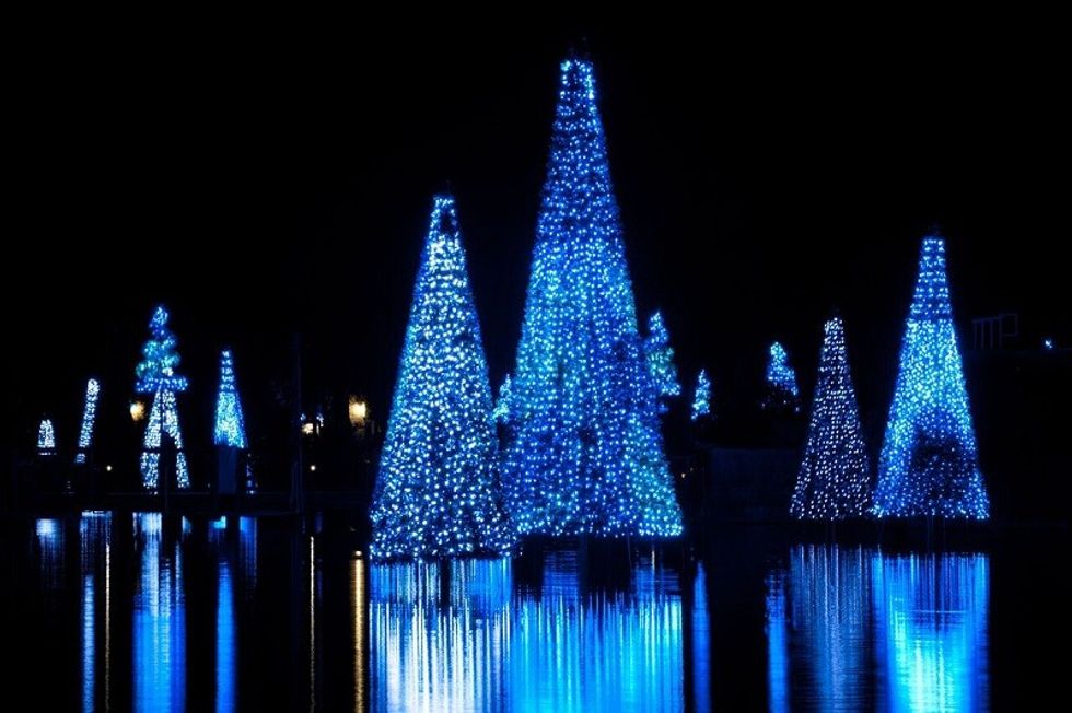 Sea of Trees Seaworld Christmas