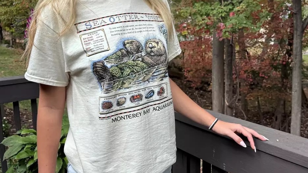 sea otter t-shirt monterey bay aquarium