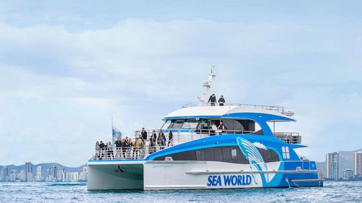 sea world whale watching