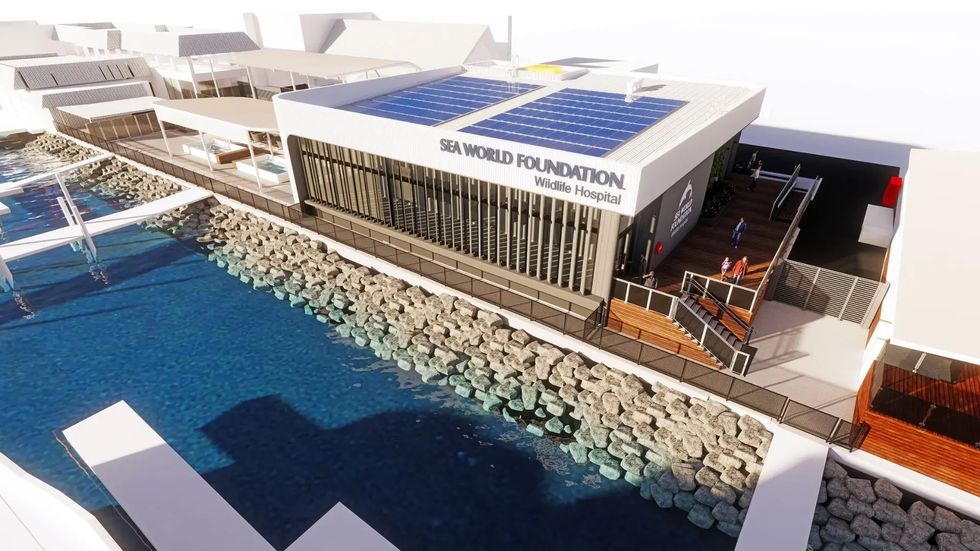 Sea World Wildlife Hospital by water, solar panels on roof, modern architecture.
