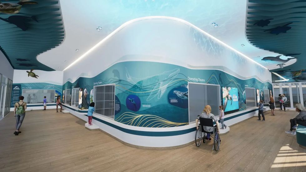 Sea World starts building marine wildlife hospital on Gold Coast