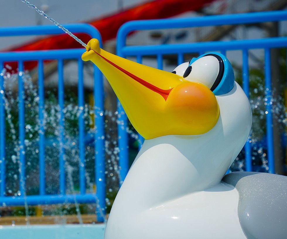 Seagull at Sesame Place Big Bird Beach by 3dx Scenic