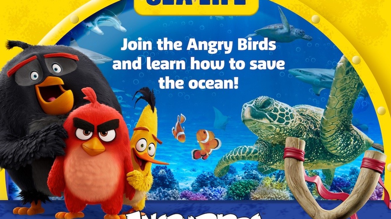 SEALIFE ANGRY BIRDS Rovio