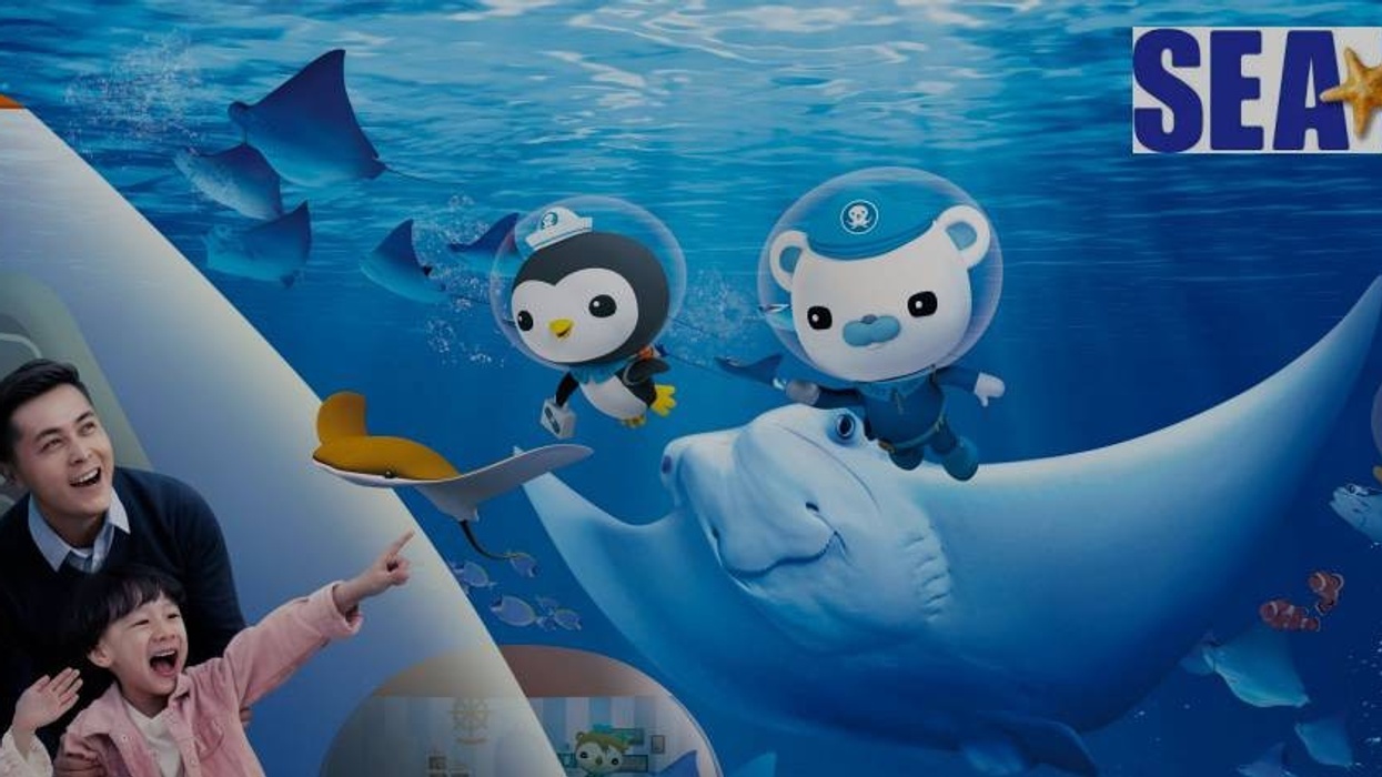 Sealife Octonauts