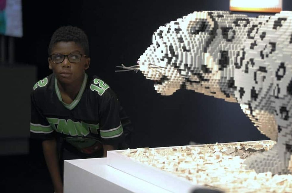 Sean Kenneys Animal Super Powers