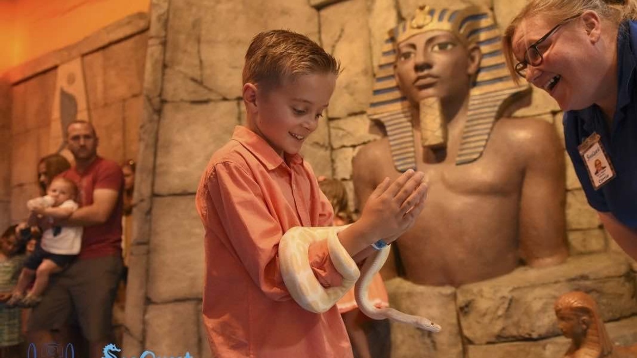 SeaQuest-boy-holding-snake-x