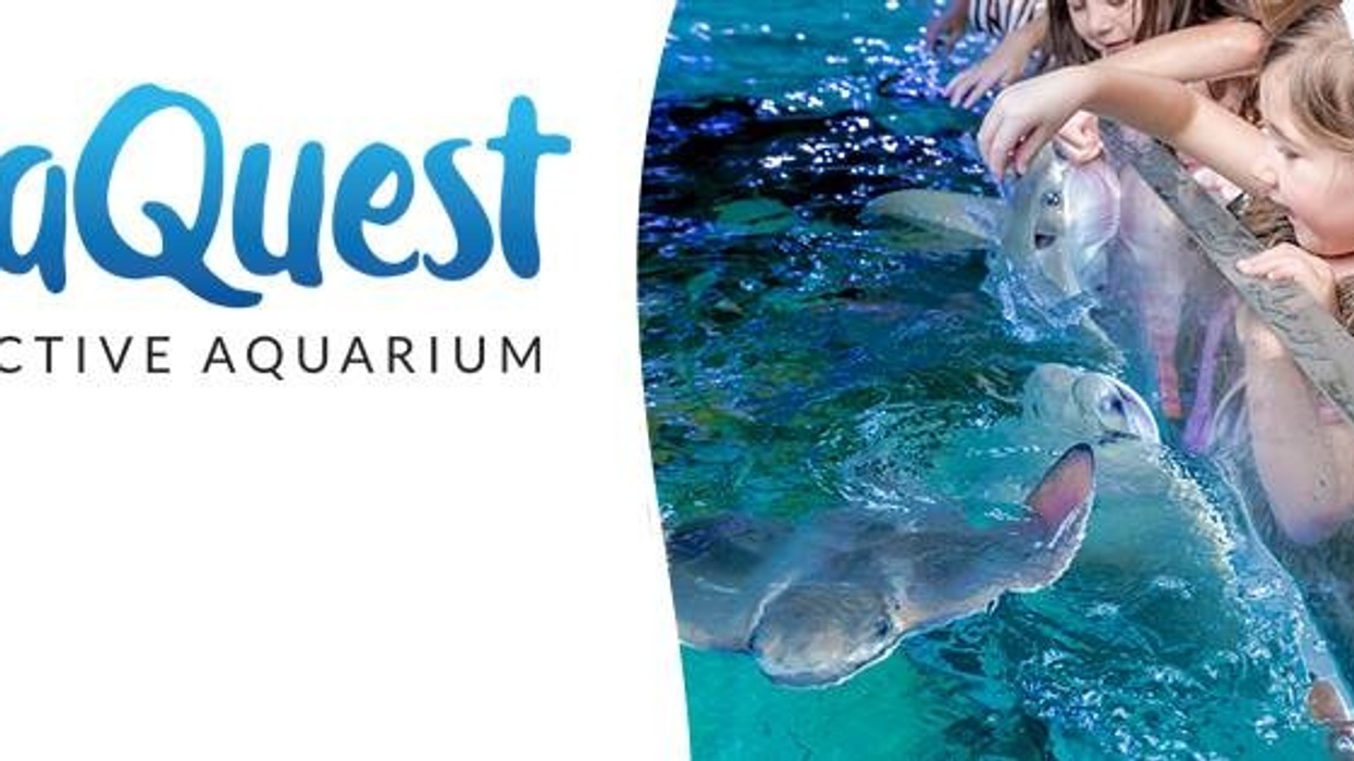 Seaquest interactive aquarium