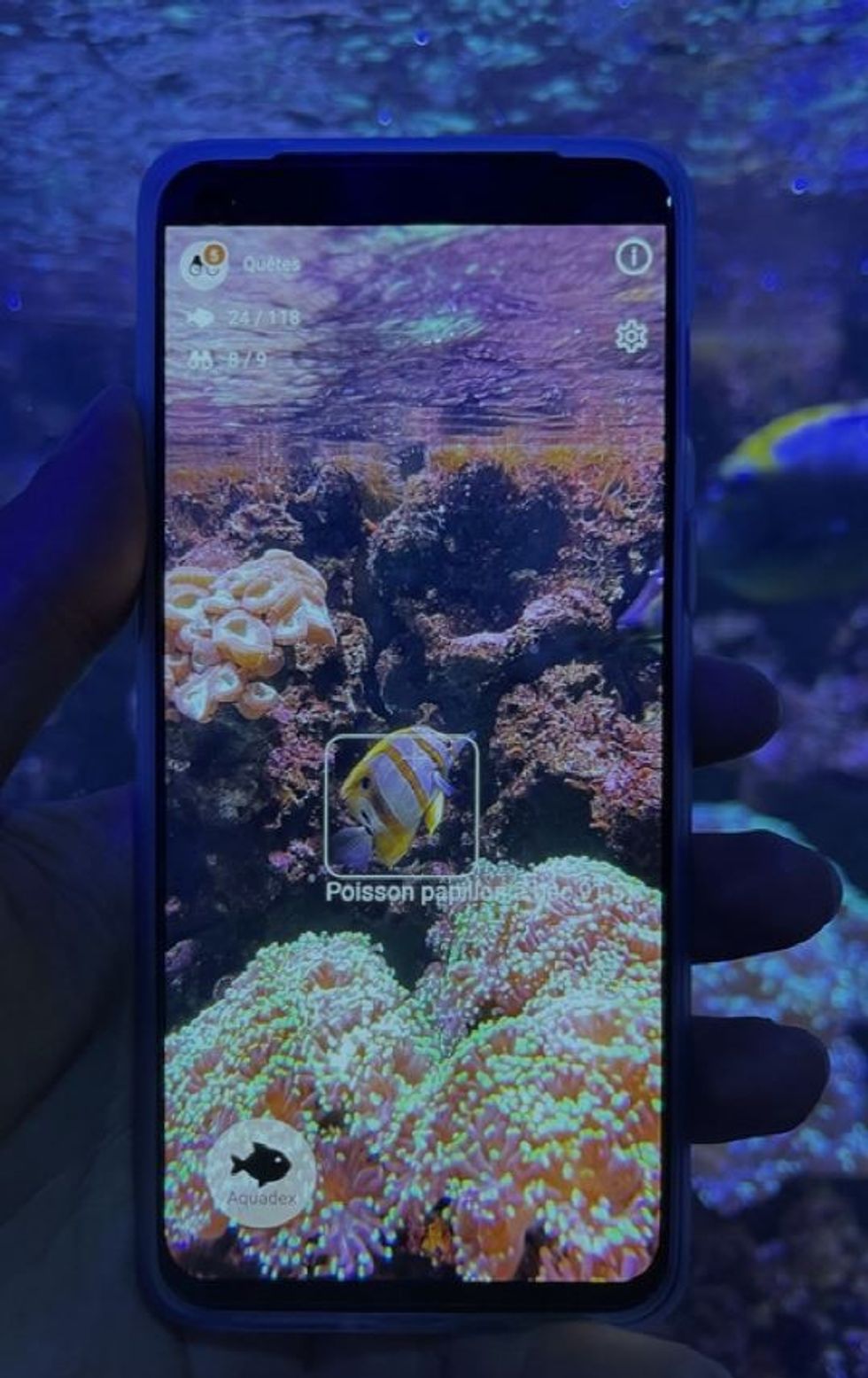 SEASCAN on iphone