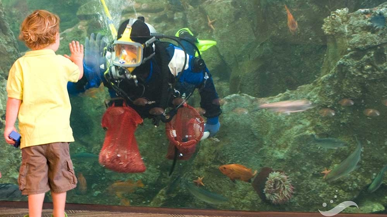 Seattle Aquarium ACME POS Ticketing
