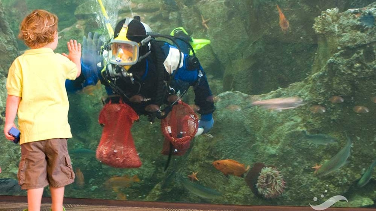Seattle Aquarium ACME POS Ticketing