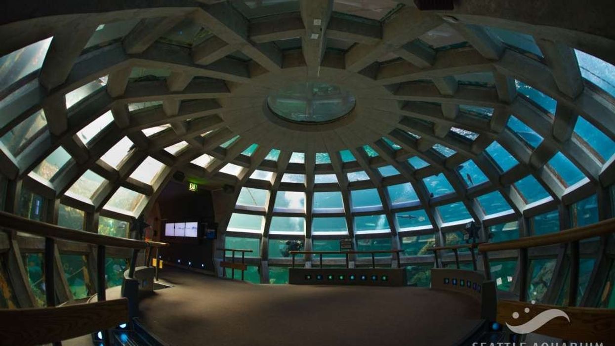 Seattle Aquarium expansion