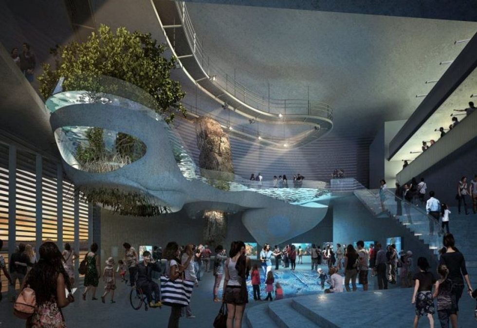 seattle aquarium ocean pavilion