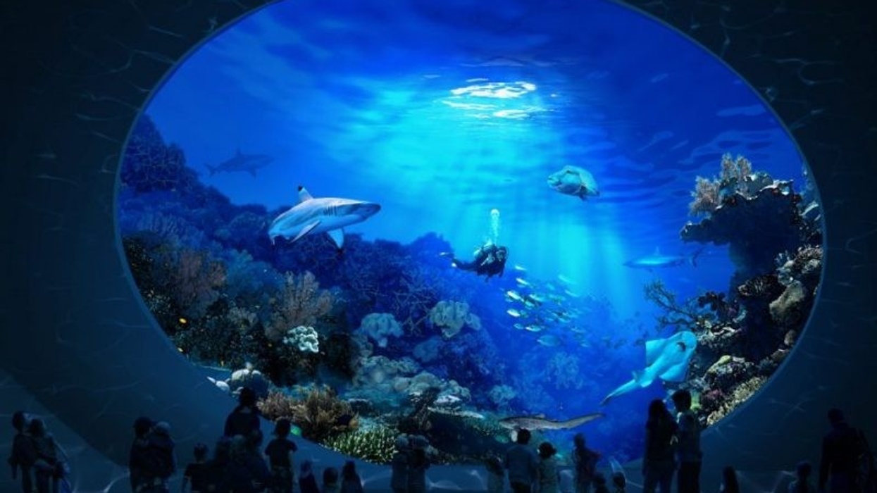 seattle aquarium ocean pavilion