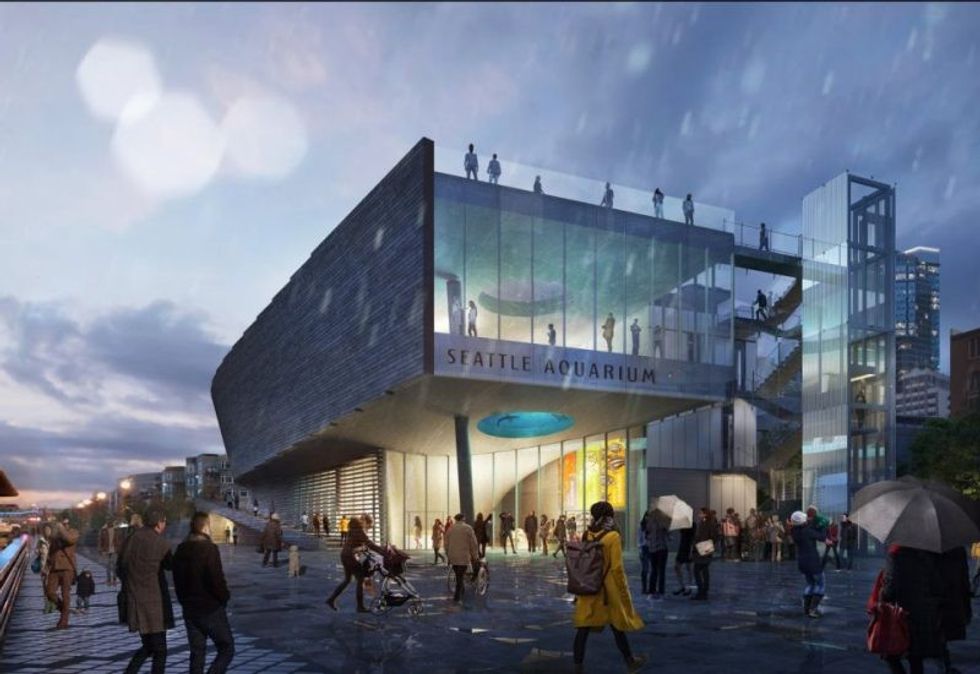 seattle aquarium ocean pavilion