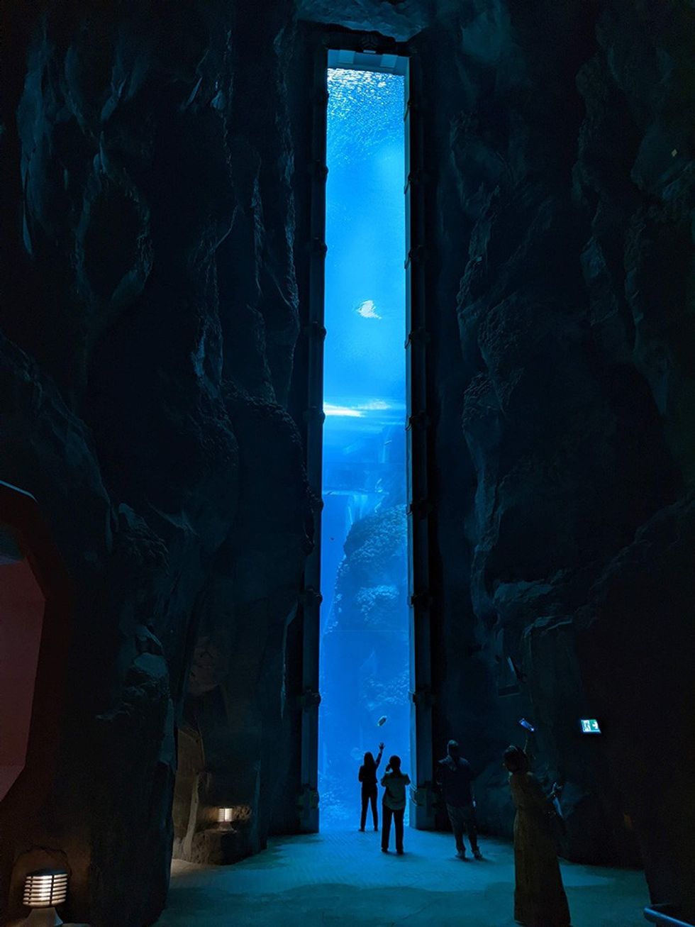 SeaWorld Abu Dhabi 20m aquarium - Blooloop image