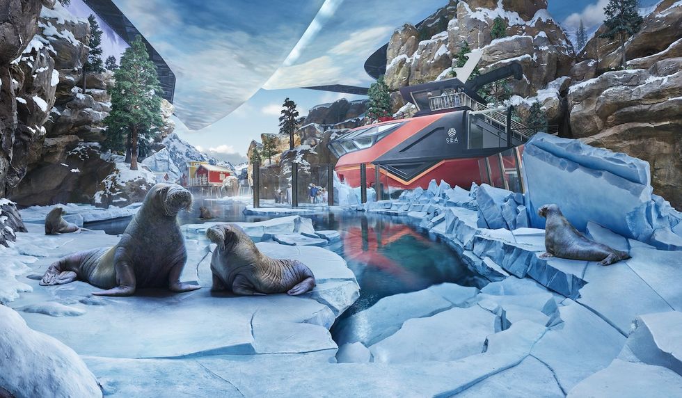 seaworld abu dhabi arctic