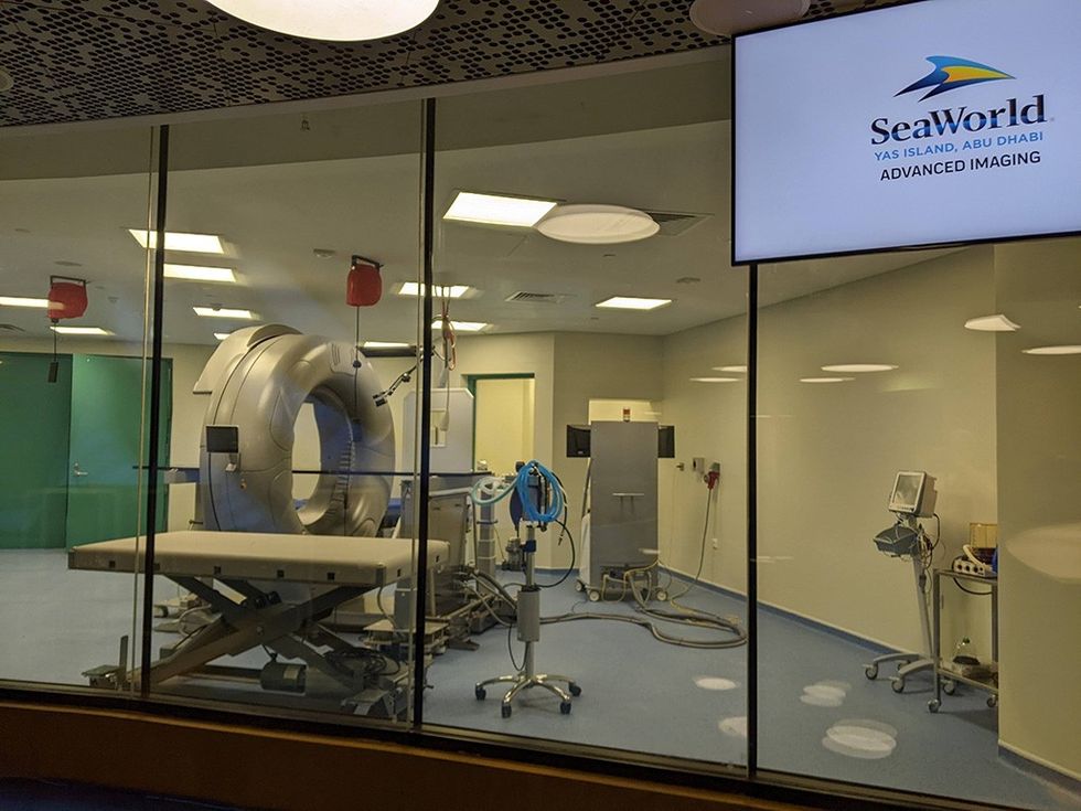 SeaWorld Abu Dhabi marine medical facilities - Blooloop image