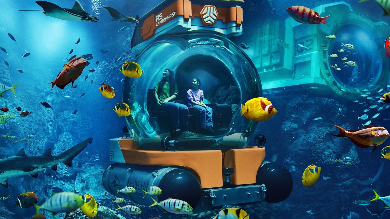 seaworld abu dhabi submersible experience