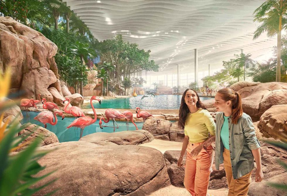 seaworld abu dhabi tropical ocean