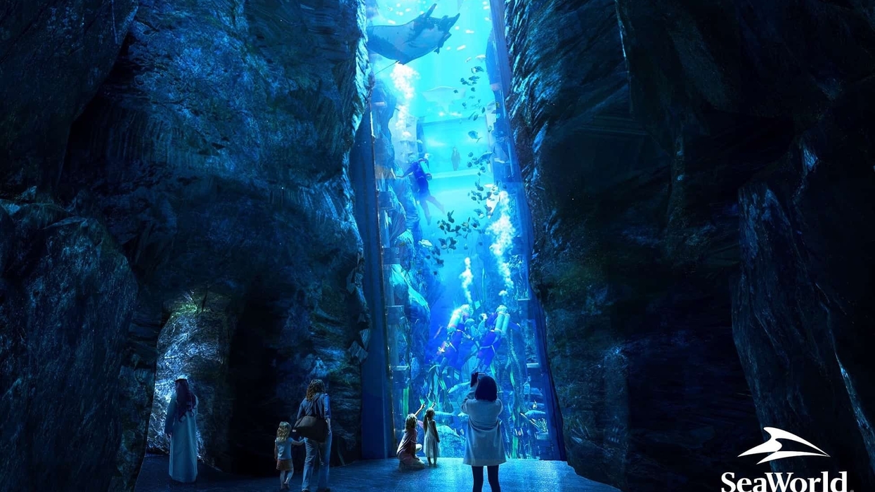 seaworld abu dhabi