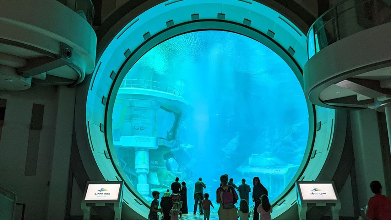 seaworld abu dhabi