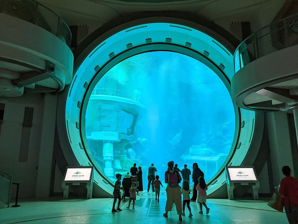seaworld abu dhabi