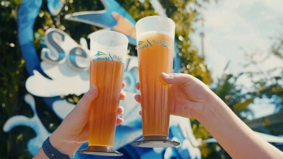 seaworld craft beer festival