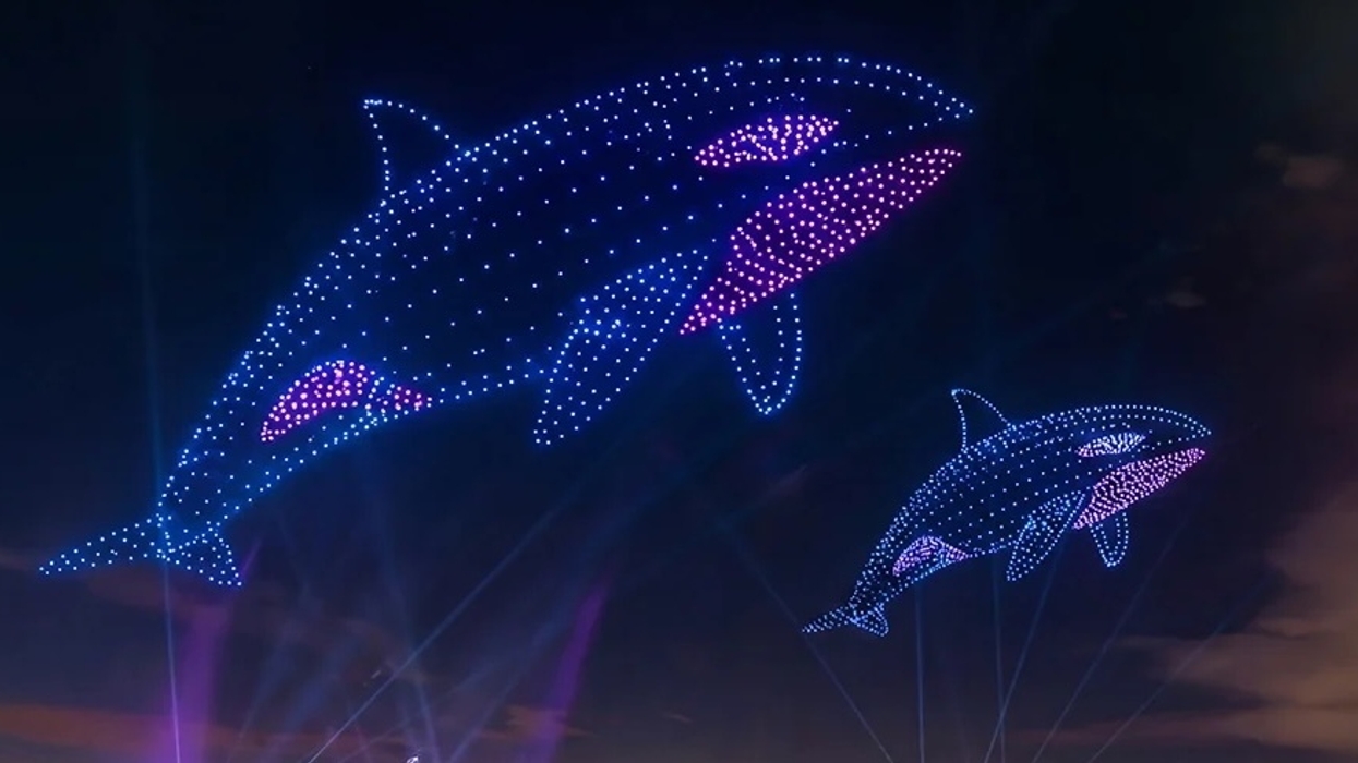 seaworld drone show