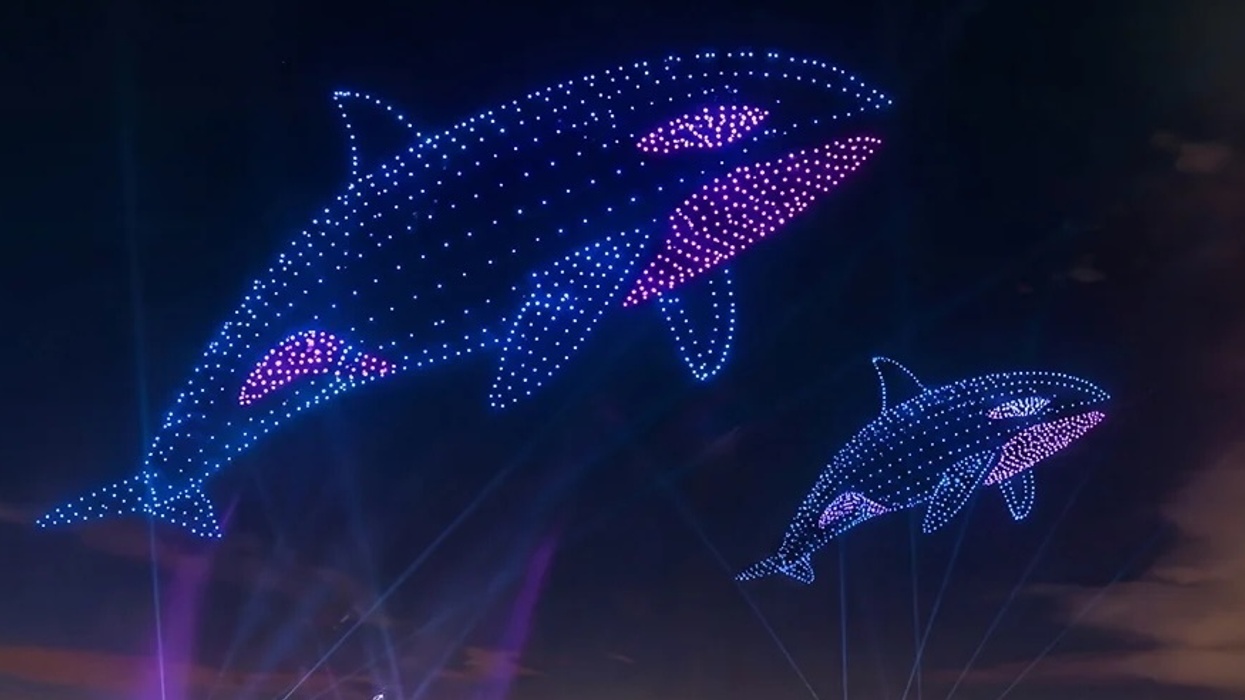 seaworld drone show