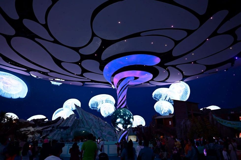 SeaWorld One Ocean Hub - jelly fish wall