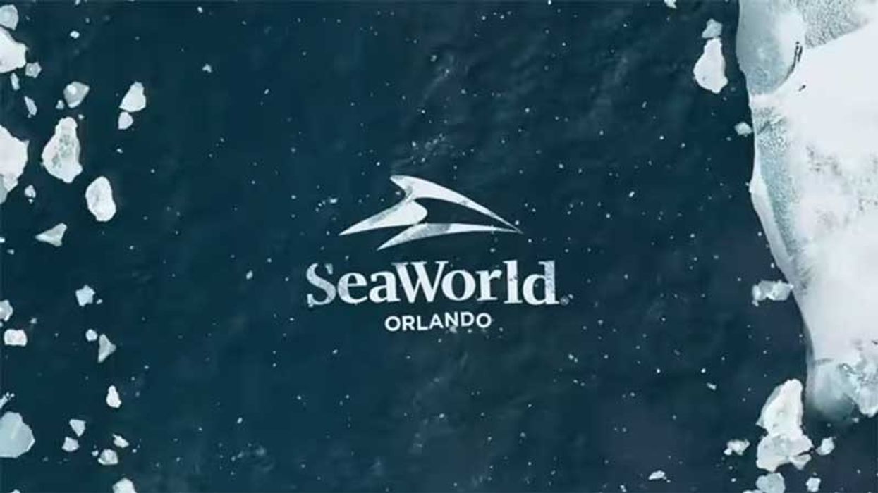 seaworld orlando breaktheice roller coaster