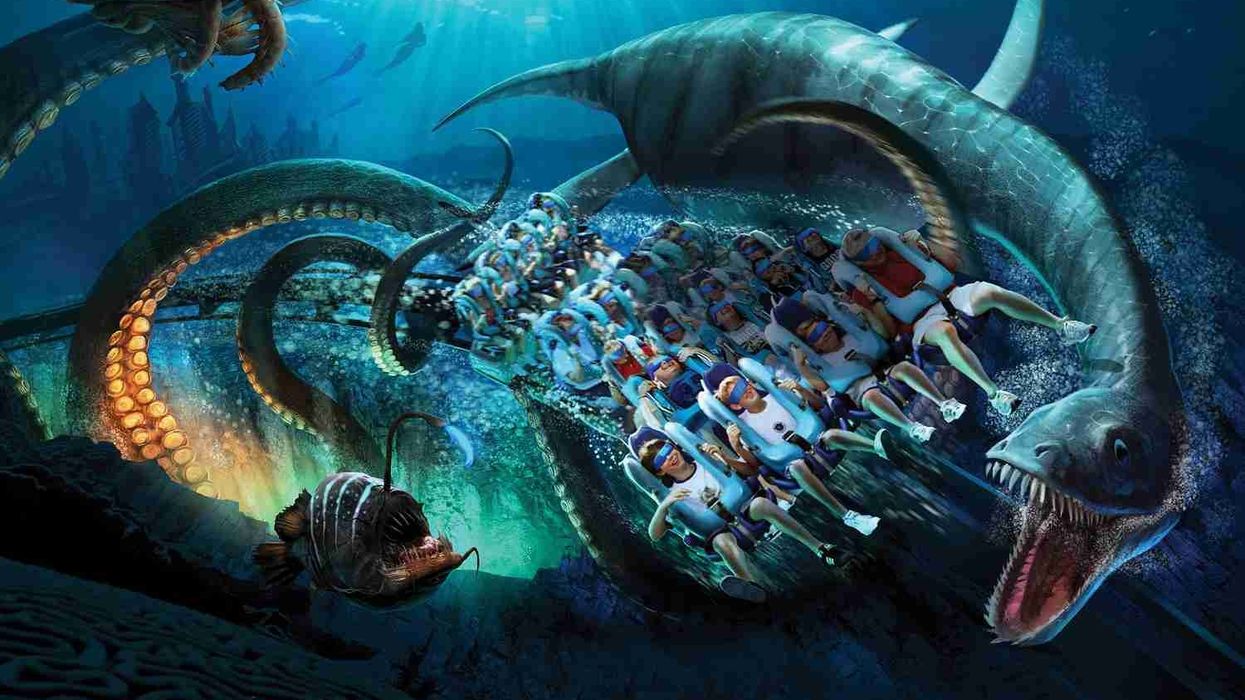 SeaWorld Orlando Considers Virtual Reality to Enhance Live Animal Collection