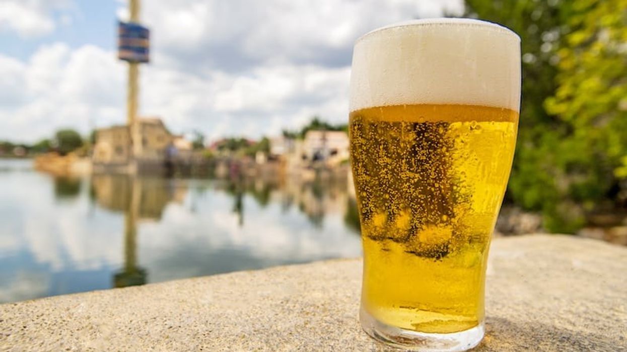 seaworld orlando free beer