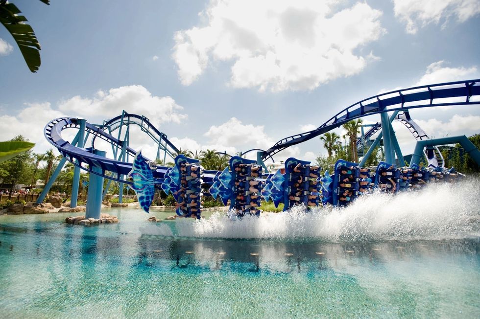 seaworld orlando manta
