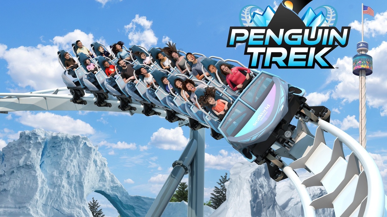 seaworld orlando penguin trek