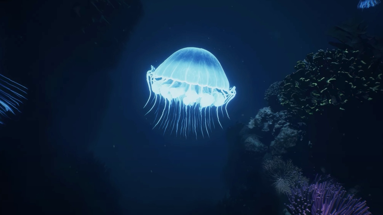 seaworld orlando seaquest dark ride