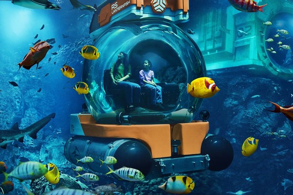 SeaWorld® Yas Island, Abu Dhabi - SeaSub, under water with tropical fish