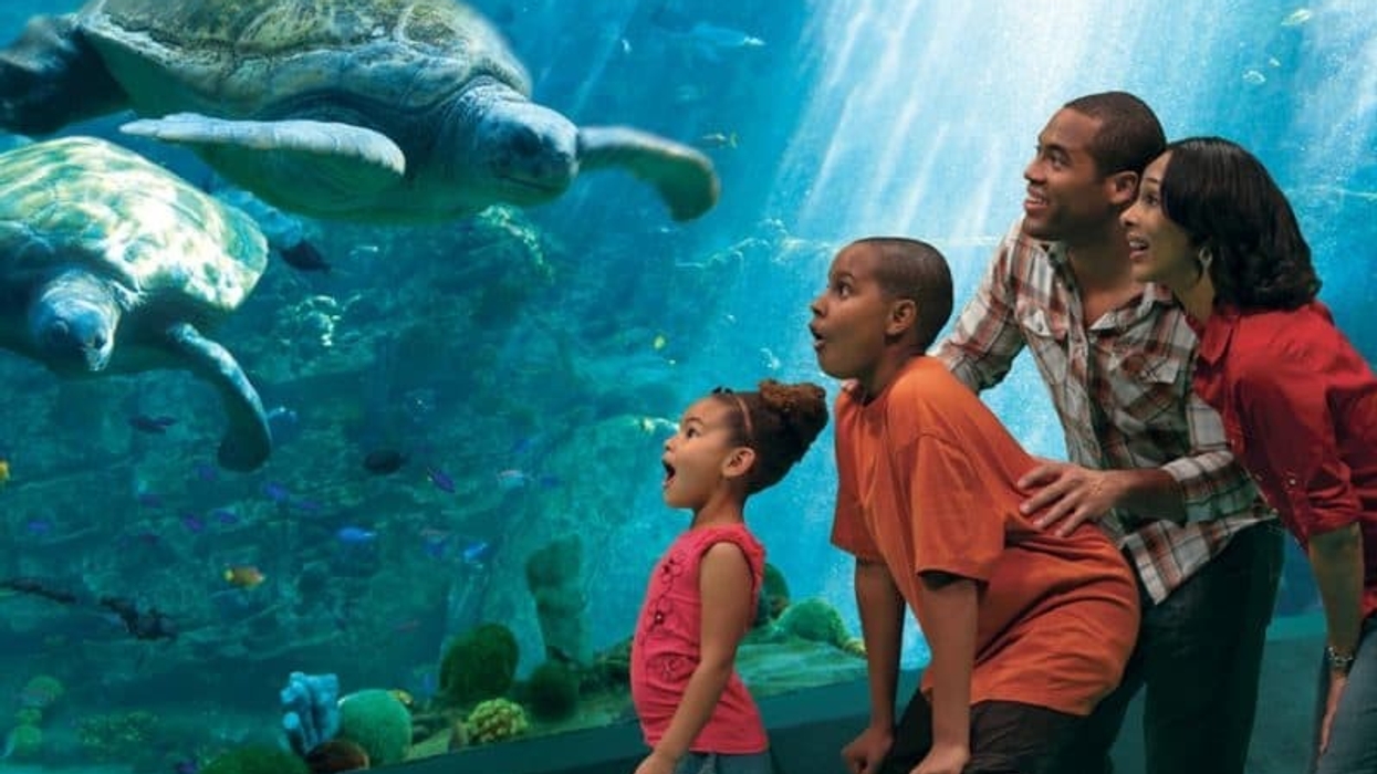 seaworld-san-diego california lockdown theme parks