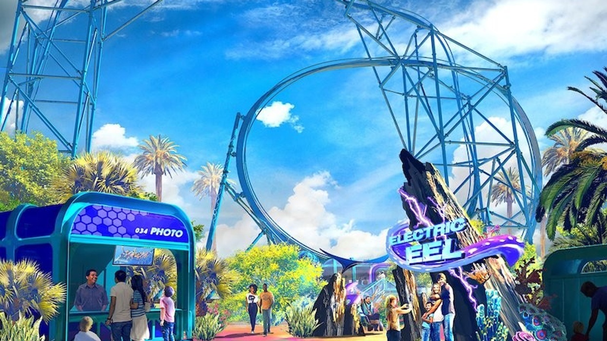 SeaWorld San Diego Electric Eel