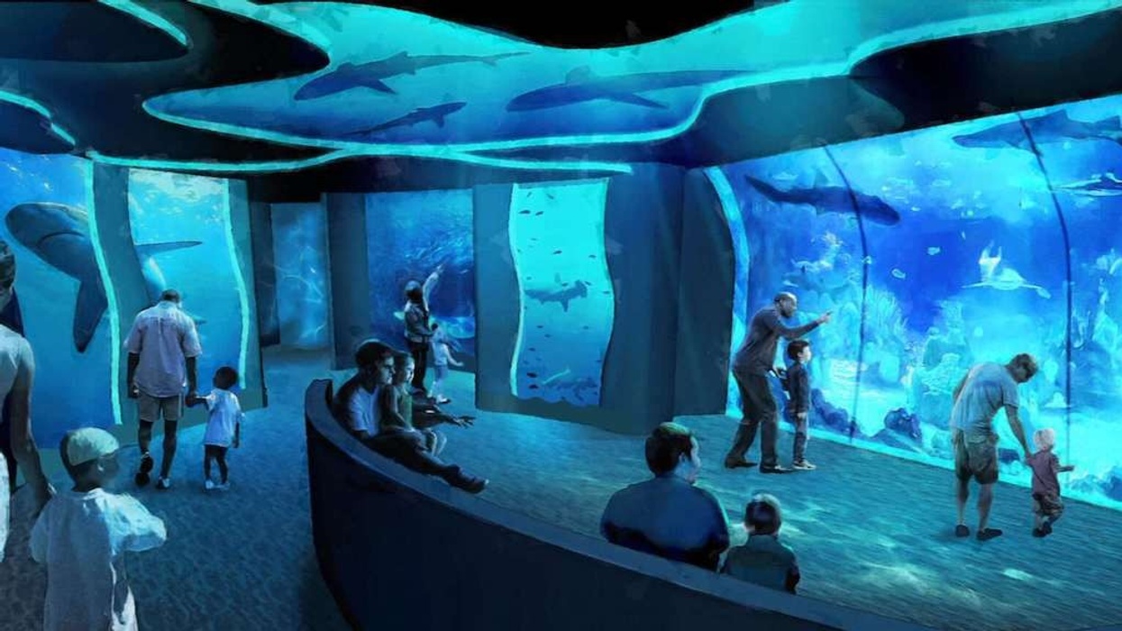 SeaWorld San Diego new Shark Encounter