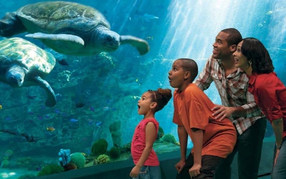 seaworld san diego reopening California theme parks