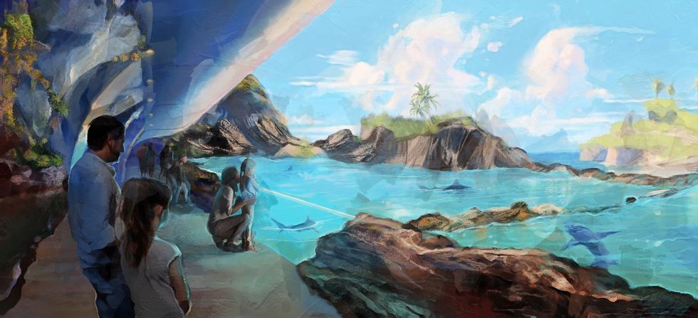 seaworld san diego shark encounter