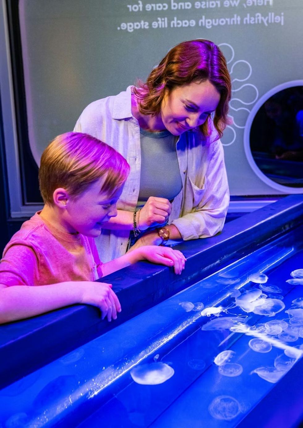 SeaWorld San Diego \u2013 \u201cJewels of the Sea" Child and adult observing jellyfish in a blue-lit aquarium tank.