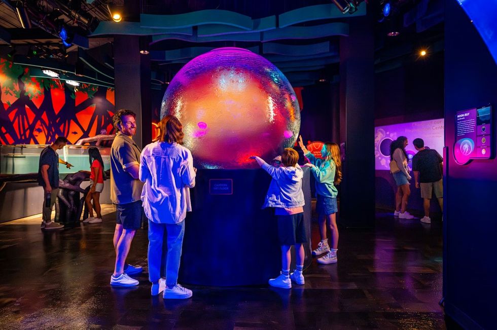 SeaWorld San Diego \u2013 \u201cJewels of the Sea". People interacting with a large illuminated sphere in a colorful exhibit space.